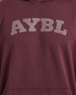 Elite Hoodie - Dusty Plum: The Ultimate Gym-to-Street Essential