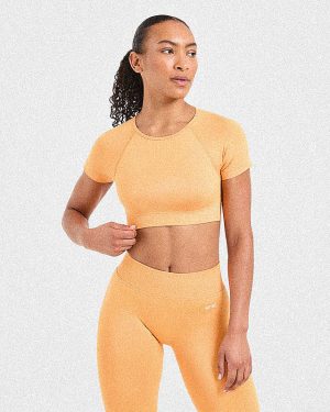 Adapt Seamless Crop Top - Bright Orange: The Ultimate Summer Workout Essential