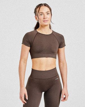 Adapt Seamless Crop Top - Brown: The Ultimate Performance Fit