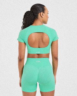 Adapt Seamless Crop Top - Spring Mint: The Ultimate Spring Workout Essential