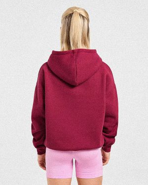 Script Embroidered Oversized Hoodie - Burgundy/Pink