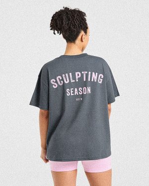 Sculpting Season Oversized T-Shirt: The Ultimate Grey/Pink Everyday Essential