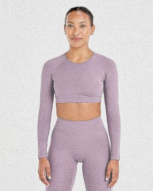 Staple Long Sleeve Crop Top - Mauve Purple: The Ultimate Sculpting Workout Essential