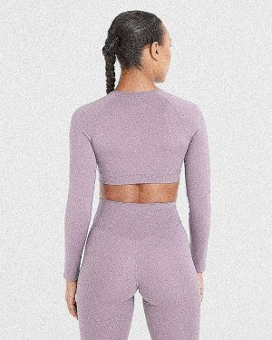 Staple Long Sleeve Crop Top - Mauve Purple: The Ultimate Sculpting Workout Essential