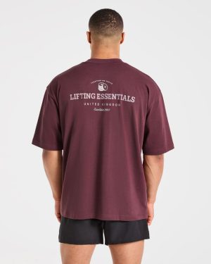 Apex Lifting Essentials Oversized T Shirt - Plum: The Ultimate Gym & Lifestyle Staple