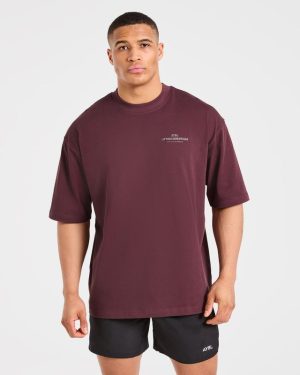 Apex Lifting Essentials Oversized T Shirt - Plum: The Ultimate Gym & Lifestyle Staple