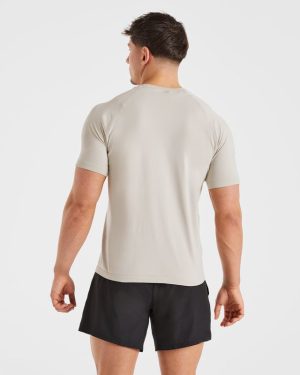 Ascend Seamless T-Shirt Ice Grey: The Ultimate Performance Essential